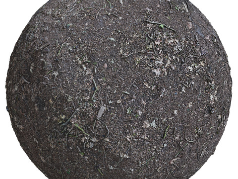  地面 土壤 自然 树枝 碎石 