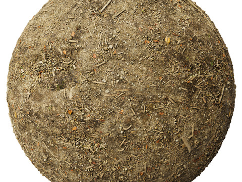  地面 土壤 自然 树枝 碎石 