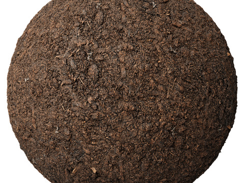  地面 土壤 自然 树枝 碎石 