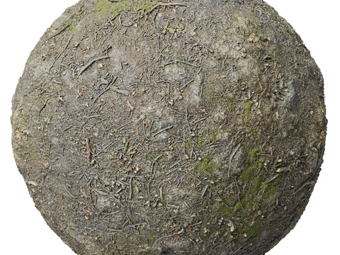  地面 土壤 自然 树枝 碎石 