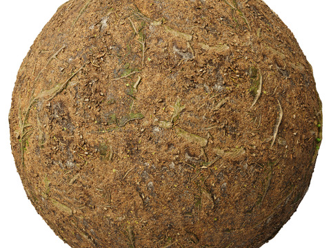  地面 土壤 自然 树枝 碎石 