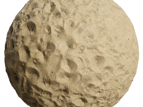  地面 土壤 自然 树枝 碎石 