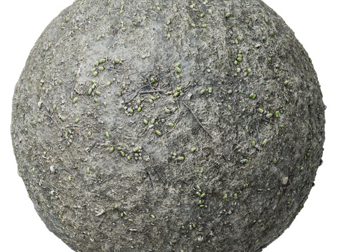  地面 土壤 自然 树枝 碎石 