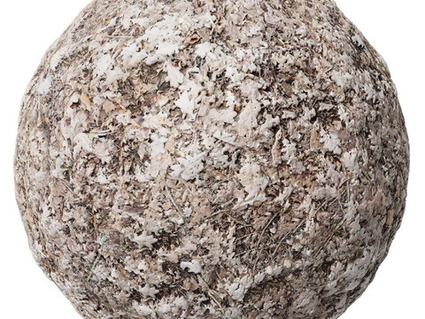  地面 土壤 自然 树枝 碎石 