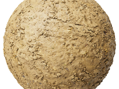  地面 土壤 自然 树枝 碎石 