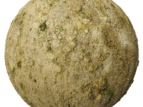  地面 土壤 自然 树枝 碎石 