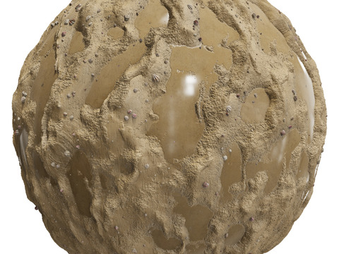  地面 土壤 自然 树枝 碎石 