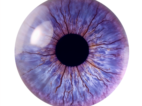  美瞳梦幻紫色 瞳孔 动漫 眼球 眼珠 眼睛贴图 动物 虹膜 