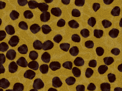  动物皮毛 毛发 地毯毛发 