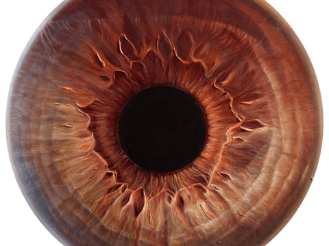  美瞳梦幻琥珀色 瞳孔 动漫 眼球 眼珠 眼睛贴图 人 动物 