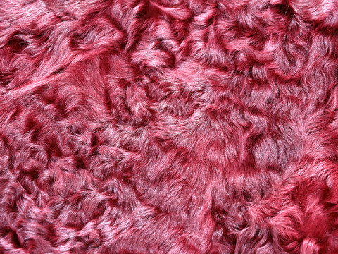  动物皮毛 毛发 地毯毛发 绒毛地毯 现代地毯 