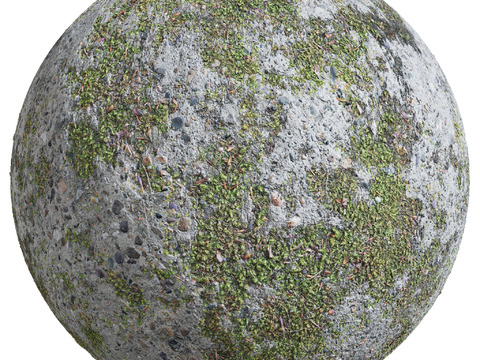  混凝土 墙面 立面 