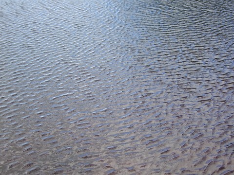  水纹 平静水纹 自然纹理 水波纹 