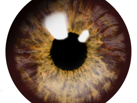  棕色美瞳 虹膜 瞳孔 眼睛 眼球 眼珠 