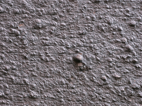  墙面 水泥墙  残旧水泥墙 