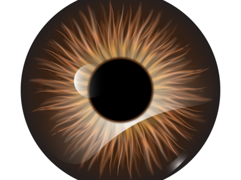  眼睛 眼球 眼珠 瞳孔 美瞳 棕色眼睛 