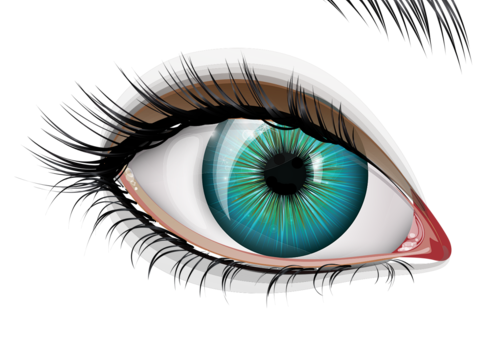  眼睛 眼球 眼珠 瞳孔 美瞳 蓝色 眉眼 