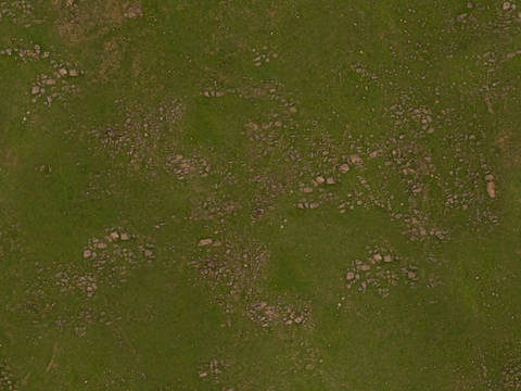  地面 地貌 沙滩 土壤 碎石 雪地 