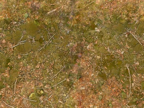  地面 地貌 沙滩 土壤 碎石 雪地 