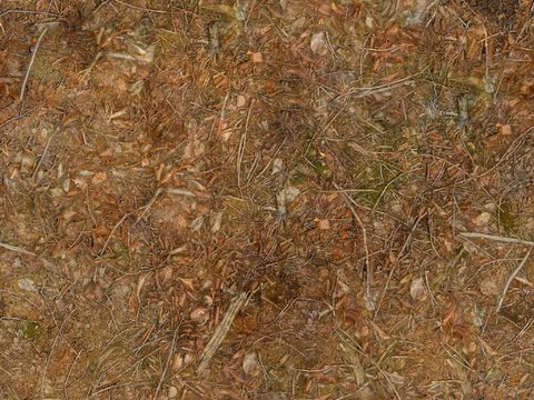  地面 地貌 沙滩 土壤 碎石 雪地 