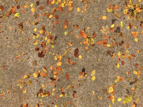  地面 地貌 沙滩 土壤 碎石 雪地 