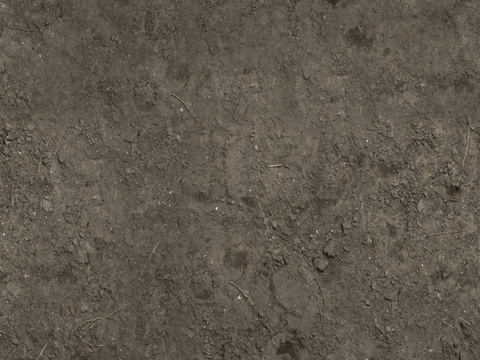  地面 地貌 沙滩 土壤 碎石 雪地 