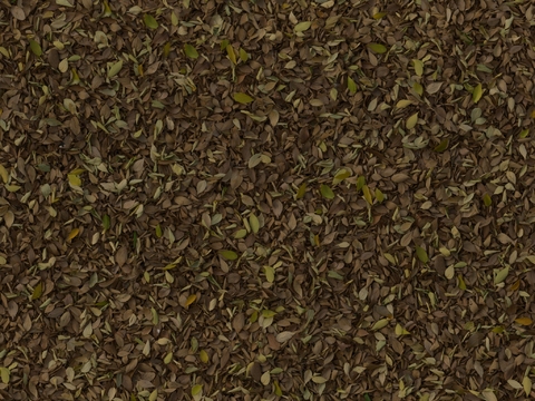  地面 地貌 沙滩 土壤 碎石 雪地 