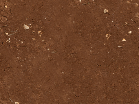  地面 地貌 沙滩 土壤 碎石 雪地 