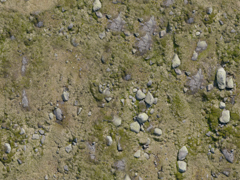  地面 地貌 沙滩 土壤 碎石 雪地 