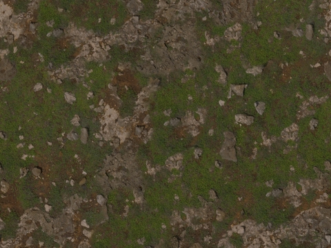  地面 地貌 沙滩 土壤 碎石 雪地 