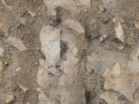  地面 地貌 沙滩 土壤 碎石 雪地 