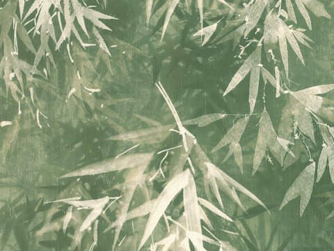  植物墙布 植物壁纸 墙布 壁纸 墙纸 