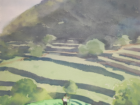  水彩梯田 