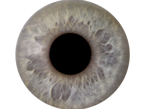  灰色 瞳孔 美瞳 眼珠 眼球 虹膜 眼睛贴图 