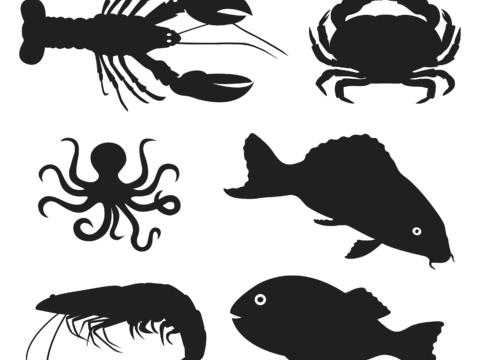  免抠 海洋生物 剪影 鱿鱼 虾 螃蟹 