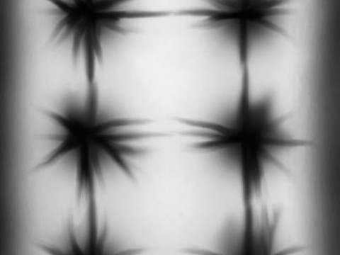  现代黑白 装饰花纹 黑白贴图 漂亮素材黑白 