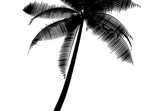  现代黑白 装饰花纹 黑白贴图 漂亮素材黑白 