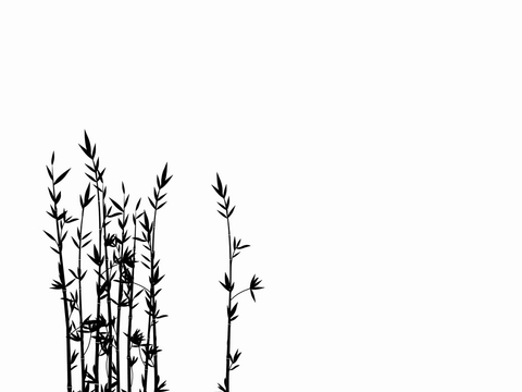  现代黑白 装饰花纹 黑白贴图 漂亮素材黑白 