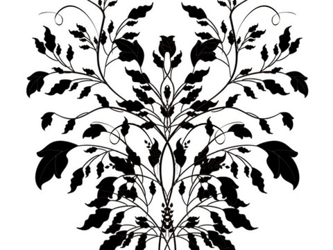  现代黑白 装饰花纹 黑白贴图 漂亮素材黑白 