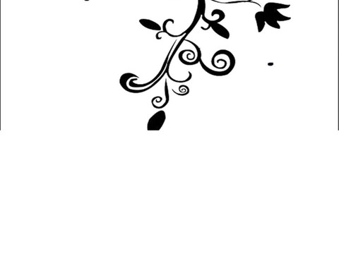  现代黑白 黑白贴图 漂亮素材黑白 