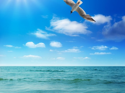  环境贴图 城市环境 现代环境 都市风景 