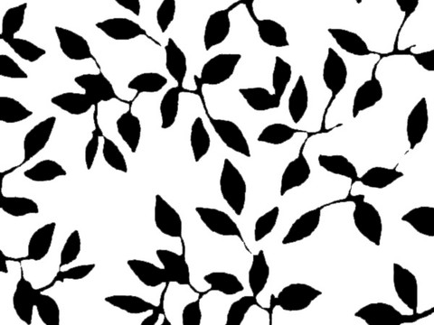  现代黑白 装饰花纹 黑白贴图 漂亮素材黑白 