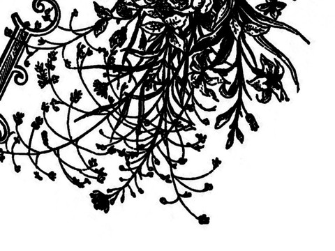  现代黑白 黑白贴图 漂亮素材黑白 