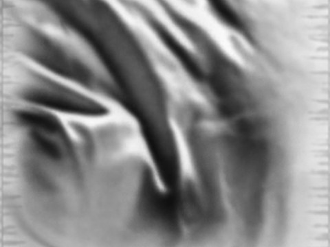  现代黑白 装饰花纹 黑白贴图 漂亮素材黑白 