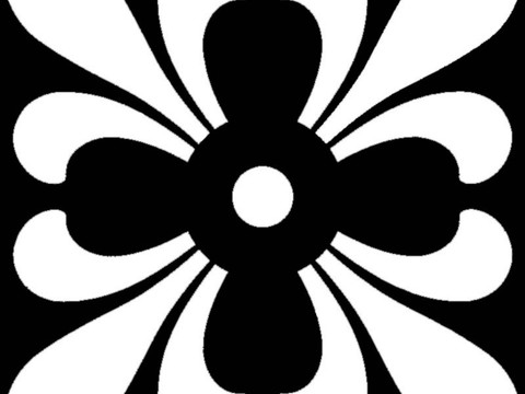  现代黑白 装饰花纹 黑白贴图 漂亮素材黑白 