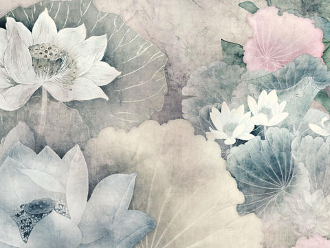  荷花壁纸 