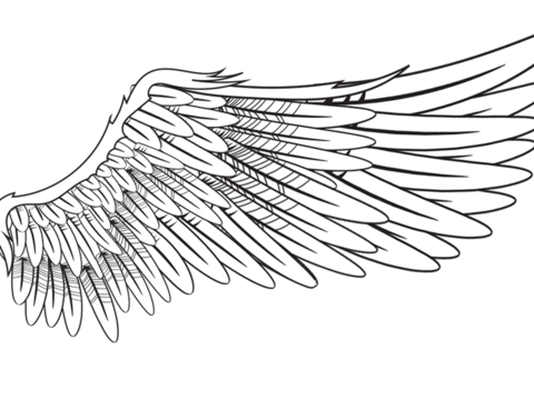  免抠翅膀 天使翅膀 白色 