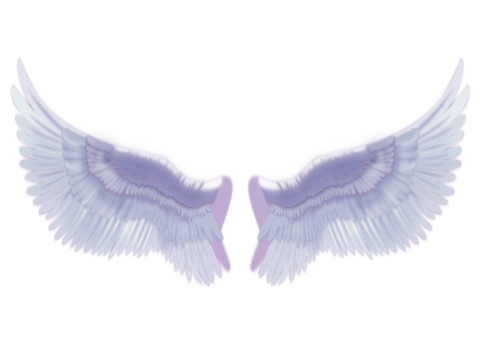 免抠天使翅膀 展开 翅膀 
