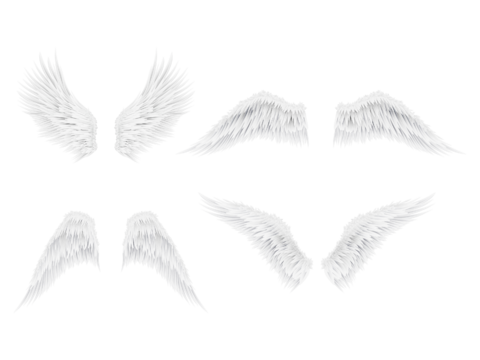  免抠翅膀 天使翅膀 白色羽毛 