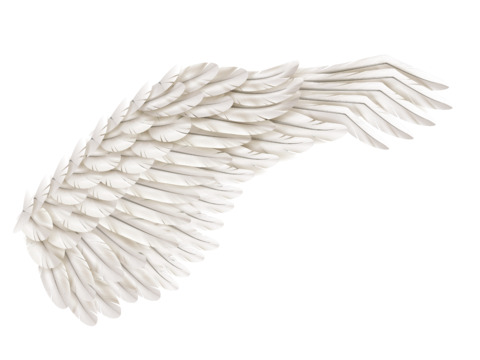  免抠白色翅膀 天使翅膀 展开 羽翼 